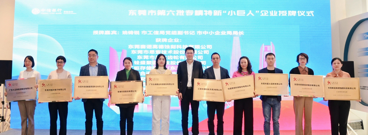 鉅大鋰電榮獲國家級專精特新“小巨人”企業(yè)稱號